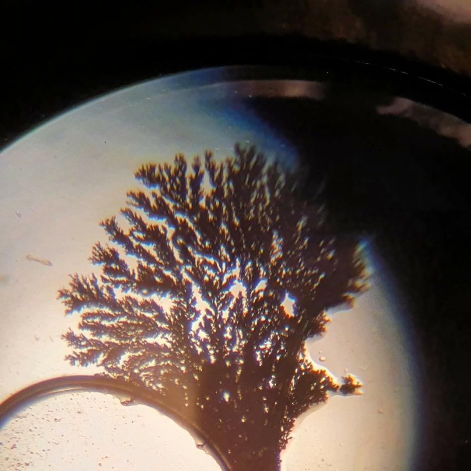 Kooperation mit der Gemeinde Tulln: VS2 4a Kristalle unterm Mikroskop