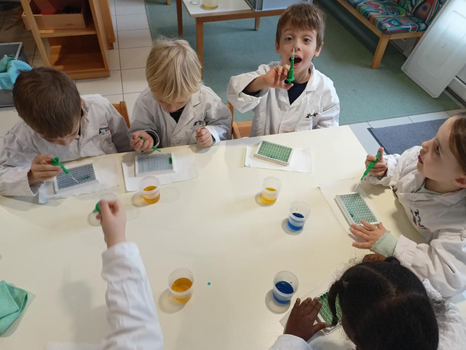 Kennenlernworkshop im Landeskindergarten 3 - Kooperation mit der Stadtgemeinde Tulln