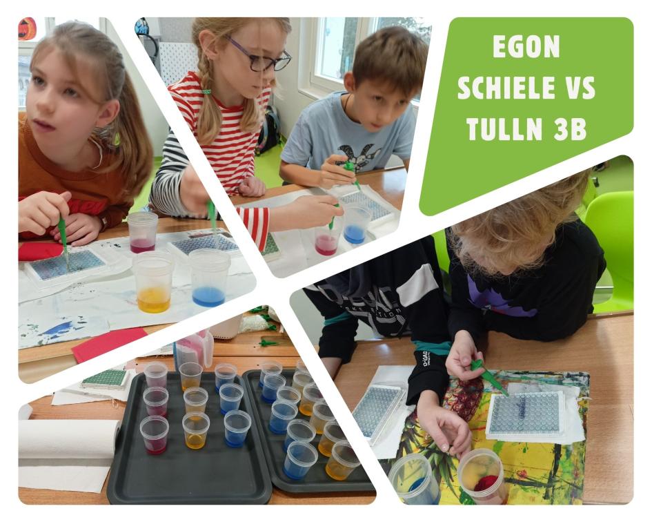 Kooperation mit Gemeinde Tulln: Farbenforschen in der 3b VSI